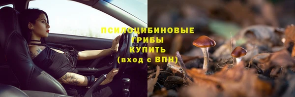 прущая мука Мегион