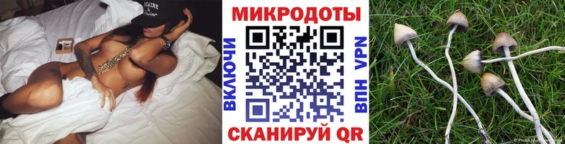 сколько стоит  Нестеровская  Галлюциногенные грибы прущие грибы 