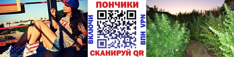 как найти наркотики Нестеровская Каннабис ГИДРОПОН